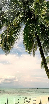 This live wallpaper showcases a stunning tropical landscape of two palm trees gently swaying on a sandy beach
