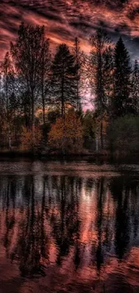 This wallpaper depicts a serene scene of a vast expanse of water surrounded by dense trees set against a stunning reddish glow, a perfect setting for an evening in a forest