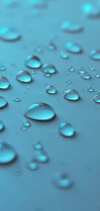 Enjoy the soothing sight of dew drops with this exquisite phone wallpaper