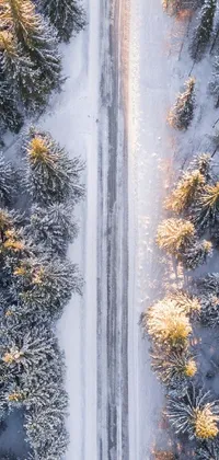 This live phone wallpaper offers an aerial view of a serene wintry landscape