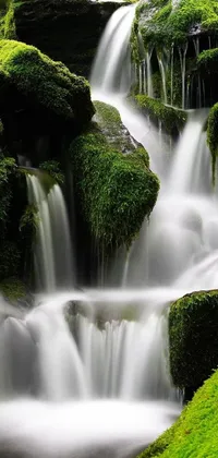 This phone live wallpaper features a tranquil scene of a small waterfall flowing through an abundant green forest