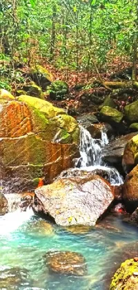 This stunning phone live wallpaper displays a beautiful scene of a stream flowing through a dense green forest