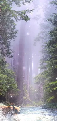 This phone live wallpaper features a calming and romantic scene of a river flowing through a lush green forest with tall redwood sequoia trees