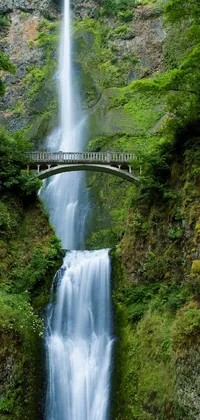 This phone live wallpaper depicts a picturesque image of a bridge over a stunning waterfall beside a lush green forest