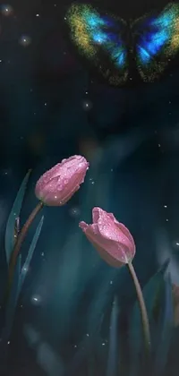 Enhance your phone's aesthetic with a romantic live wallpaper featuring two pink tulips and a butterfly against a dark background
