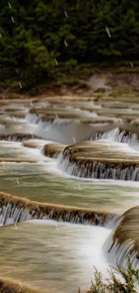 This phone live wallpaper showcases a serene river flowing through a lush forest