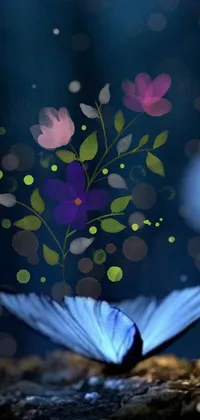 Bring your phone screen to life with this stunning live wallpaper featuring a serene night scene of a butterfly resting on a rock near a beautiful flower