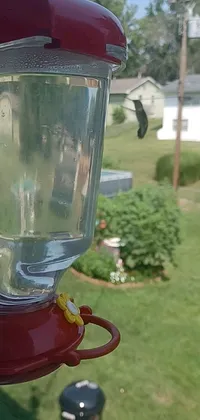 This phone wallaper shows a beautiful hummingbird eating from a bird feeder in a gorgeous display of nature