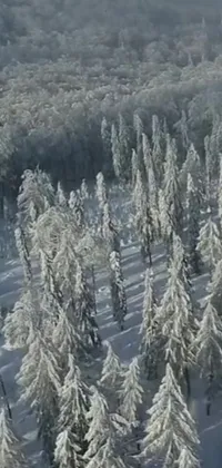 Experience the thrill of skiing with this stunning live wallpaper