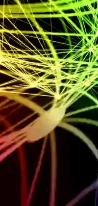 This mesmerizing live wallpaper for your phone features a stunning display of interconnected wires that form an eerie and captivating design inspired by spiderwebs and generative art