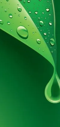 Looking for a calming and refreshing live wallpaper for your phone? Check out our beautiful green leaf with water drops, featuring smooth and clean vector art by a skilled deviantart artist