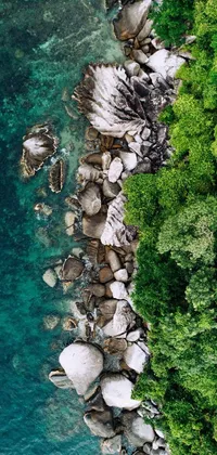 This sea-themed live phone wallpaper features a stunning aerial view of crystal-clear green and white waters, surrounded by rocky outcrops and lush tropical trees