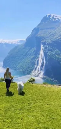 Experience the beauty of nature with this stunning phone live wallpaper featuring a man walking a samoyed dog across a lush green field