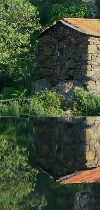 If you're on the hunt for a serene live wallpaper for your phone, look no further! This stunning wallpaper features a stone building situated next to a beautiful body of water
