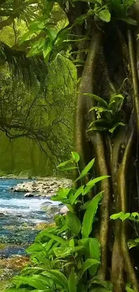Enhance your phone's aesthetic with this breathtaking live wallpaper of a serene stream running through a lush green forest