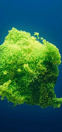 This breathtaking mobile wallpaper features a stunningly detailed green algae floating gracefully in the water