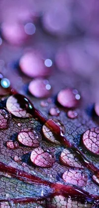 This phone live wallpaper presents a captivating macro photograph of a water droplet-covered leaf, paired with a backdrop of perfectly-shaded purple shattered paint