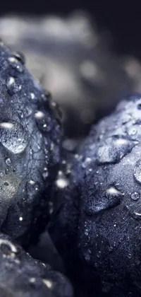 This mobile wallpaper is a photorealistic depiction of a pile of blueberries covered in water droplets, perfect for those who love the look of fresh, juicy fruit
