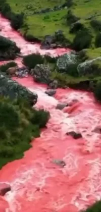 This live wallpaper features a beautiful green field with a stream of flowing red water, surrounded by a stunning landscape of New Zealand