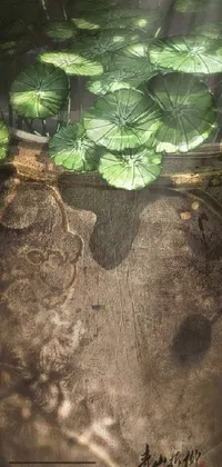 This stunning live wallpaper showcases a vase filled with lush green leaves, sitting on top of a table