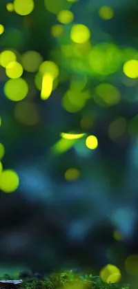 This 3D live wallpaper features a charming toy standing in a lush field, surrounded by magical fireflies and bokeh effects
