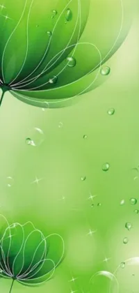Introducing a stunning phone live wallpaper featuring a field of green flowers and an umbrella! This digital artwork by an artistic creator depicts the dynamic imagery with a touch of wilderness to make your screen come alive