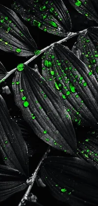This live wallpaper showcases a vivid green spotted leaf with a dark background, inspired by art photography and surreal nature
