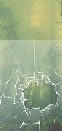 This phone live wallpaper boasts a captivating digital artwork depicting a shattered window in a peaceful forest setting