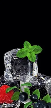This phone live wallpaper showcases three ice cubes adorned with raspberries and mint leaves