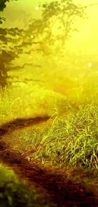 This live phone wallpaper features a serene dirt path in the midst of a lush green forest, complete with long thick grass and rays of sunlight filtering through the branches above