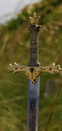 This live phone wallpaper features a stunning sword standing in a lush, green field