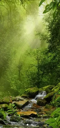 This phone live wallpaper showcases a stunning 4k vertical design of a lush, jungle forest in Malaysia