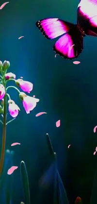 Water Plant Insect Live Wallpaper