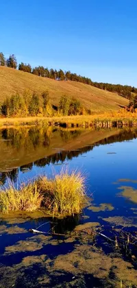 This phone live wallpaper boasts a picturesque scenery of a peaceful body of water set against the lush foliage of Mongolia during fall