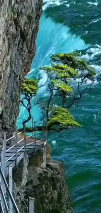 This live wallpaper for phones features stunning artwork of a majestic tree situated on a cliff overlooking a body of water