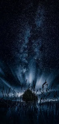 This phone live wallpaper features a mesmerizing night sky with stars, digital art, beams of light, and a tree in a galaxy made of stars