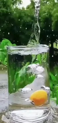 This phone live wallpaper features a realistic orange floating in a glass of water, set amidst a naturally beautiful scene that is fully covered in nature