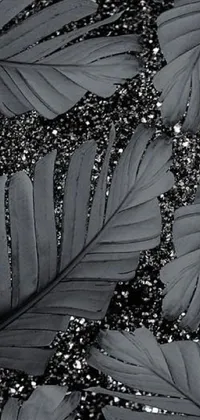 The Leaves Live Wallpaper for phones showcases a beautiful black and white photograph of leaves that creates a serene atmosphere