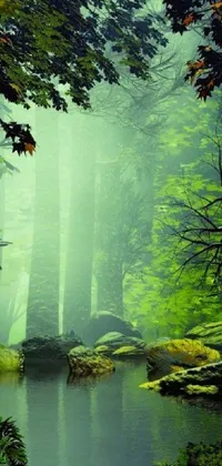 Transform your phone into a peaceful paradise with this mesmerizing live wallpaper
