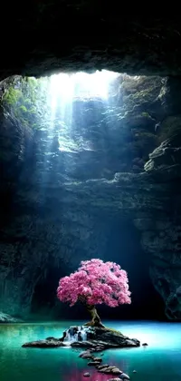 Water Plant Light Live Wallpaper