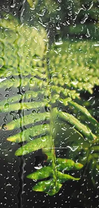 Water Plant Liquid Live Wallpaper