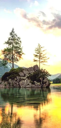 This phone live wallpaper features a serene scene of a small island perched on a floating rock on a still lake, set with a stunning mountain background