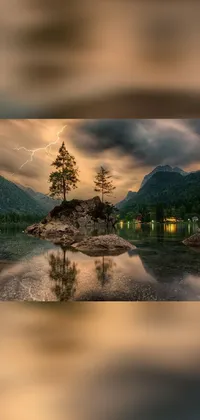 Immerse yourself in the wonders of nature with this captivating live wallpaper
