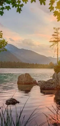 Immerse yourself in the beauty of nature with this phone live wallpaper
