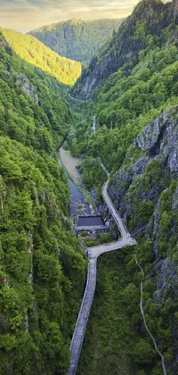 This phone live wallpaper depicts an aerial view of a winding mountain road through a gorge, featuring high bridges and colorful trees lining the path