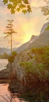 This phone wallpaper showcases a stunning body of water surrounded by trees and mountains