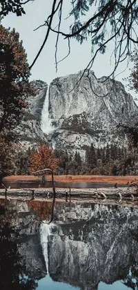 This is a stunning phone live wallpaper capturing the essence of fall in Yosemite