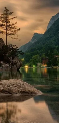 Experience the tranquility of nature right on your phone with this stunning live wallpaper! Featuring a tree perched atop a rock by a serene body of water, this wallpaper captures the beauty of the outdoors