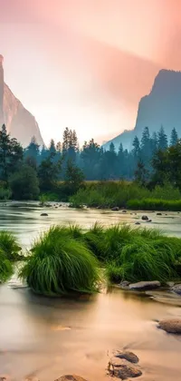 This stunning live phone wallpaper features a peaceful river flowing through a lush green forest with majestic mountains in the background