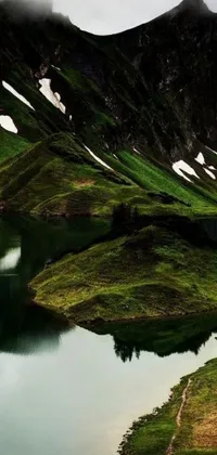 Water Plant Mountain Live Wallpaper
